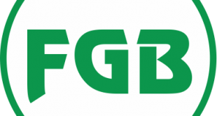 Federación Gráfica Logo